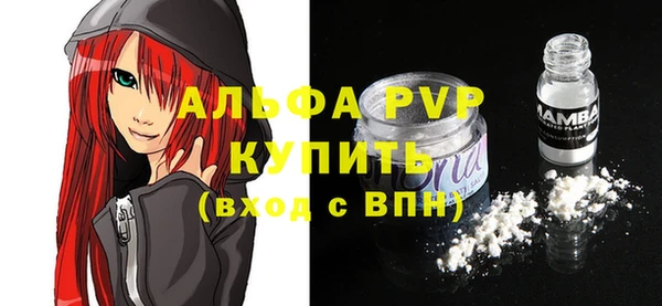 дурь Бородино