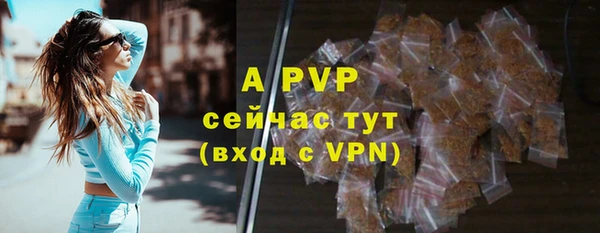 дурь Бородино