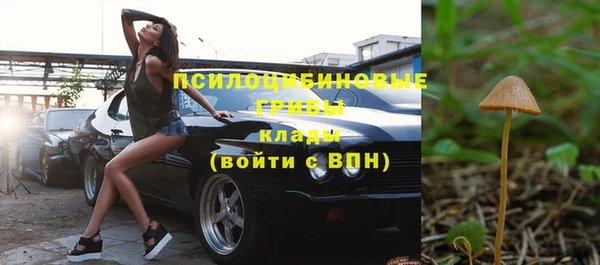 дурь Бородино