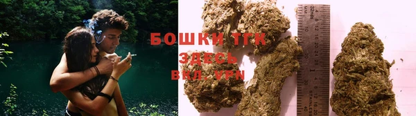 дурь Бородино