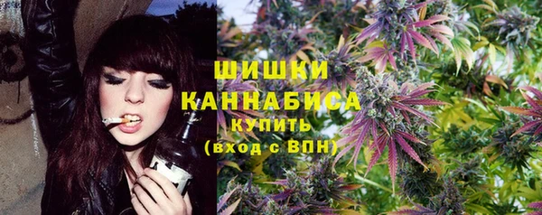 дурь Бородино