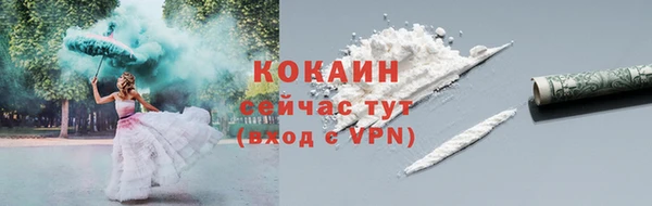 дурь Бородино