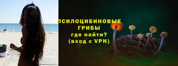 дурь Бородино