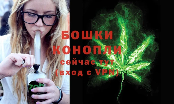 дурь Бородино