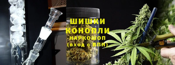 дурь Бородино